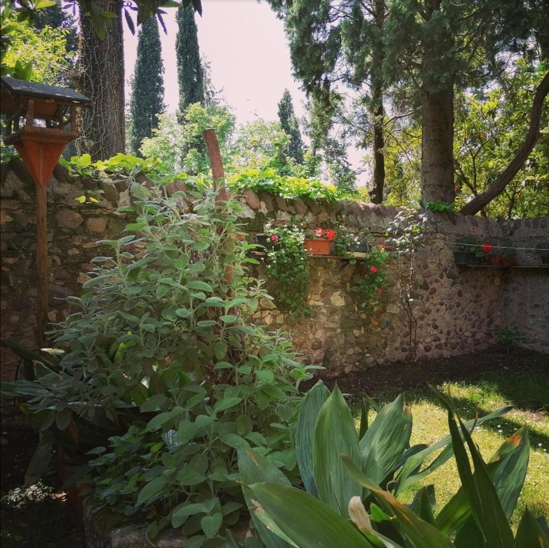 Appartamento La Casa Di Marzia Bardolino Esterno foto
